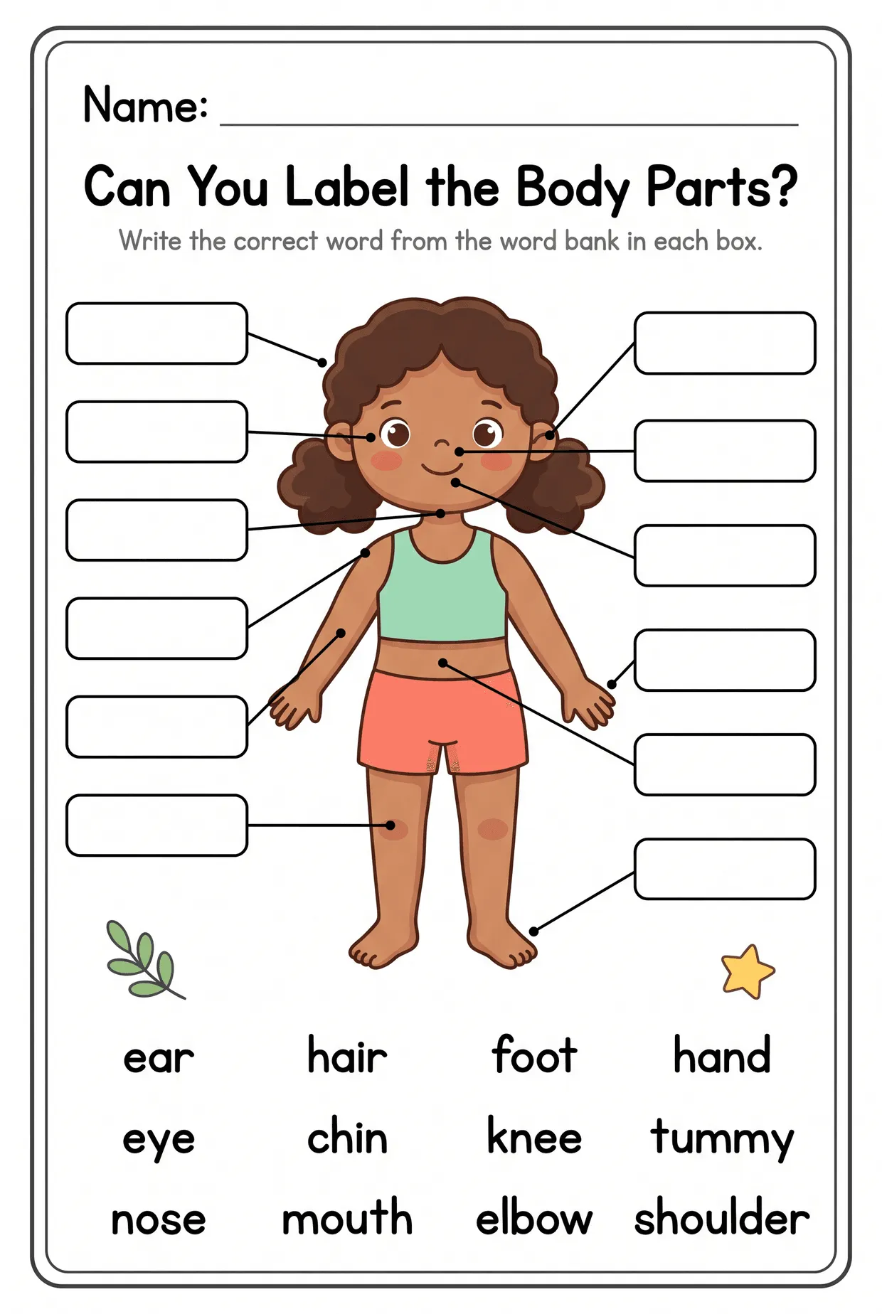 Label the Body Parts Worksheet With a Word Bank worksheet preview