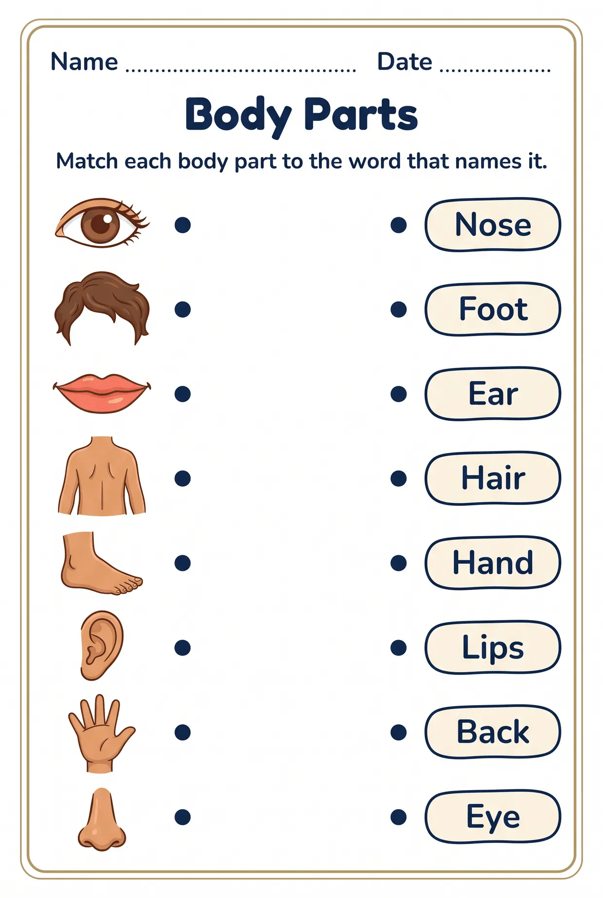 Body Parts Worksheet: Match the Picture to the Word, page 1 preview