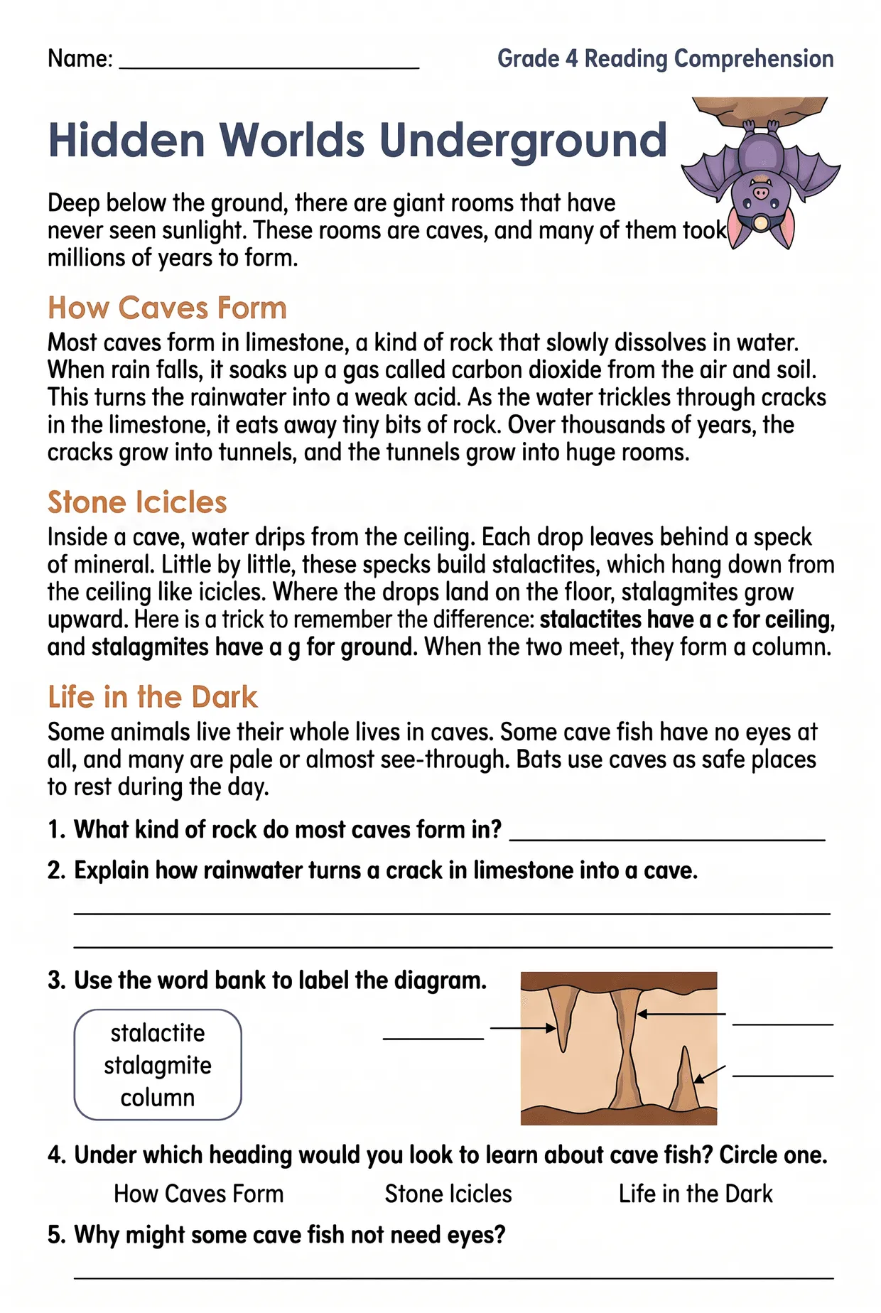 Caves Nonfiction Reading Comprehension Worksheet Grade 4, page 1 preview