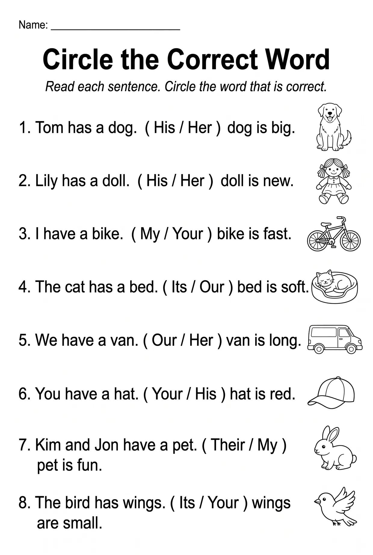 Circle the Correct Possessive Adjectives Worksheet, page 1 preview