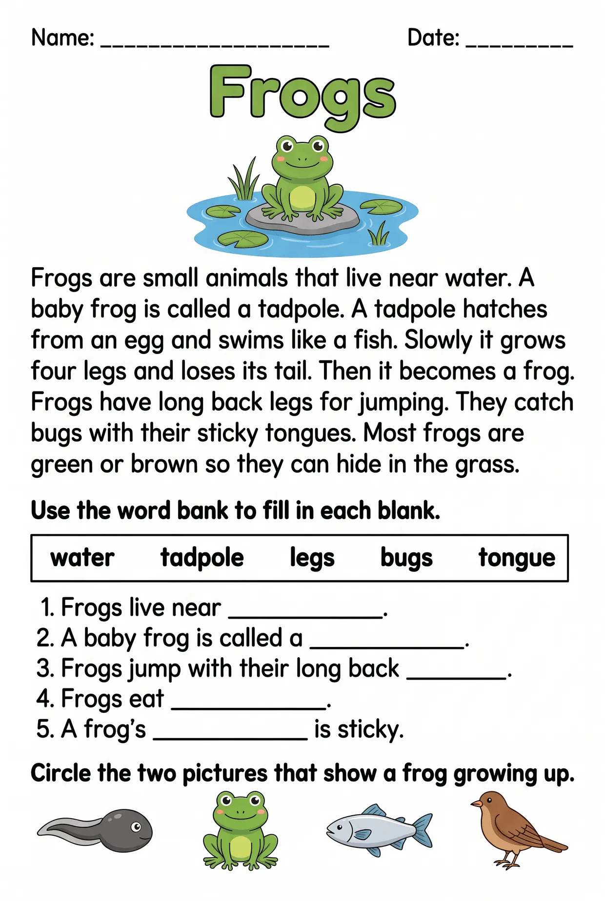 Frogs Word Bank Reading Worksheet for 2nd Graders, page 1 preview
