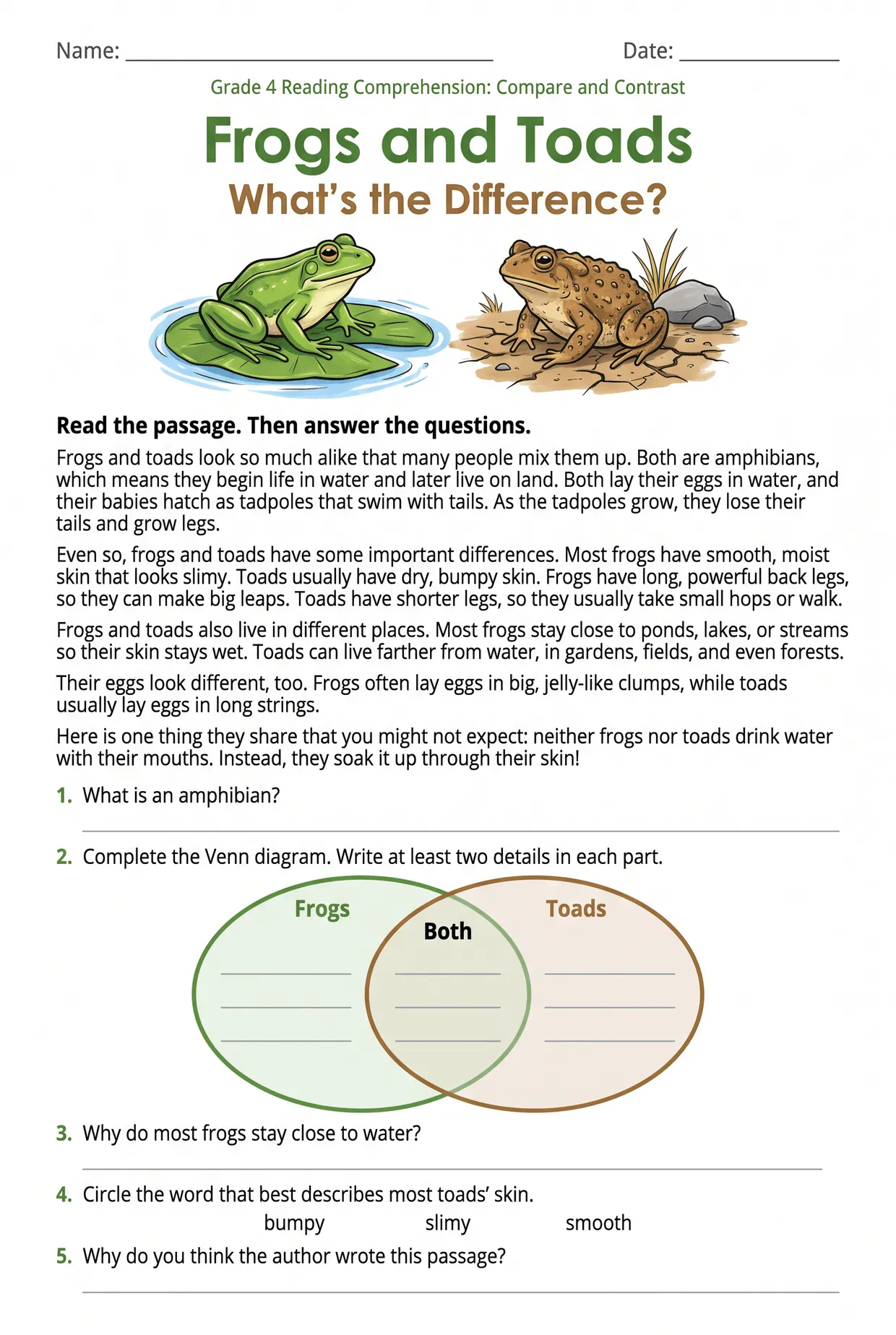 Frogs vs Toads 4th Grade Reading Comprehension Worksheet, page 1 preview
