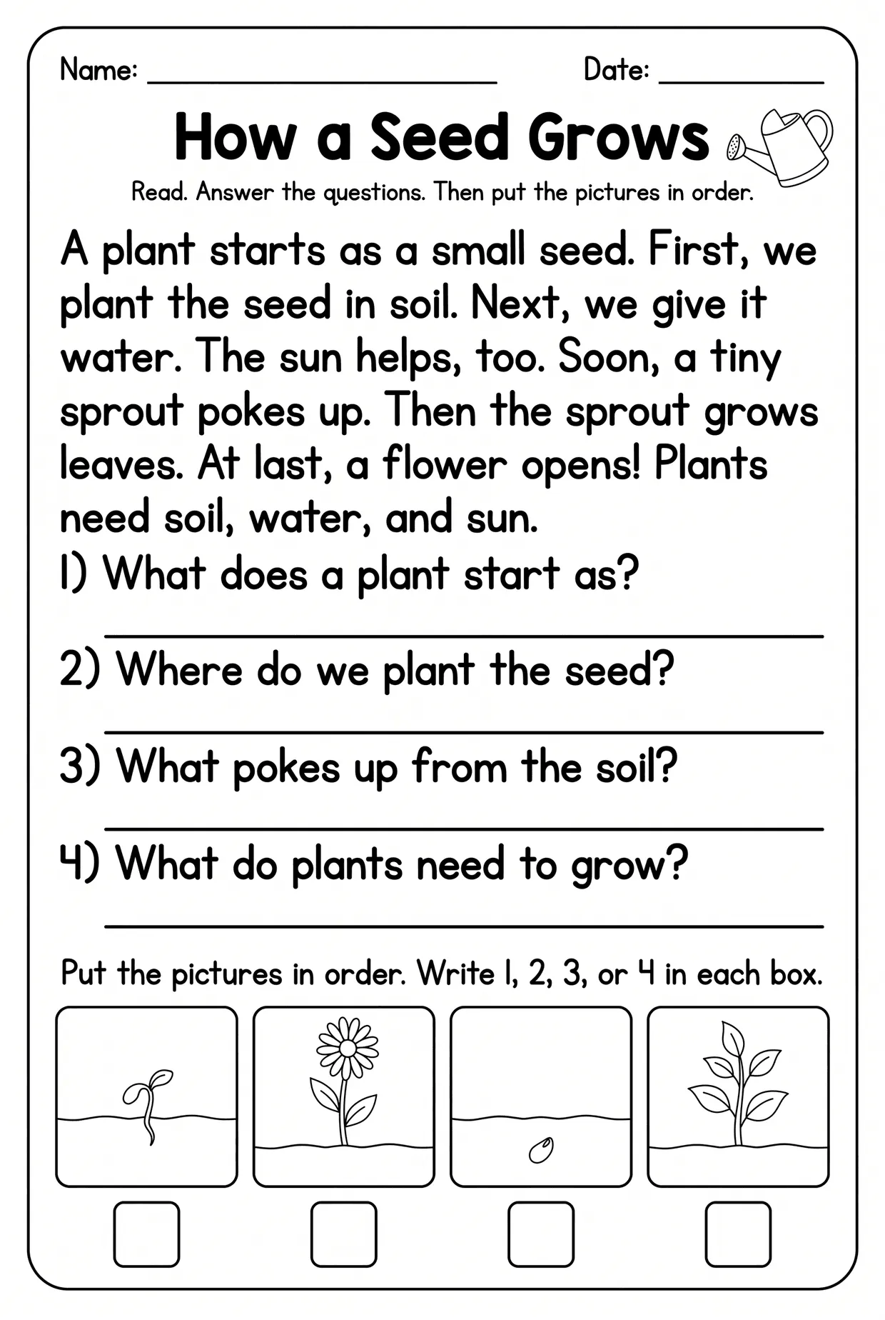 How a Seed Grows First Grade Reading Comprehension, page 1 preview