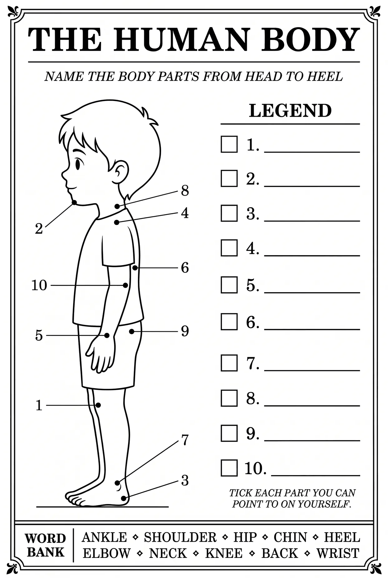 The Human Body: Label 10 Body Parts Worksheet, page 1 preview