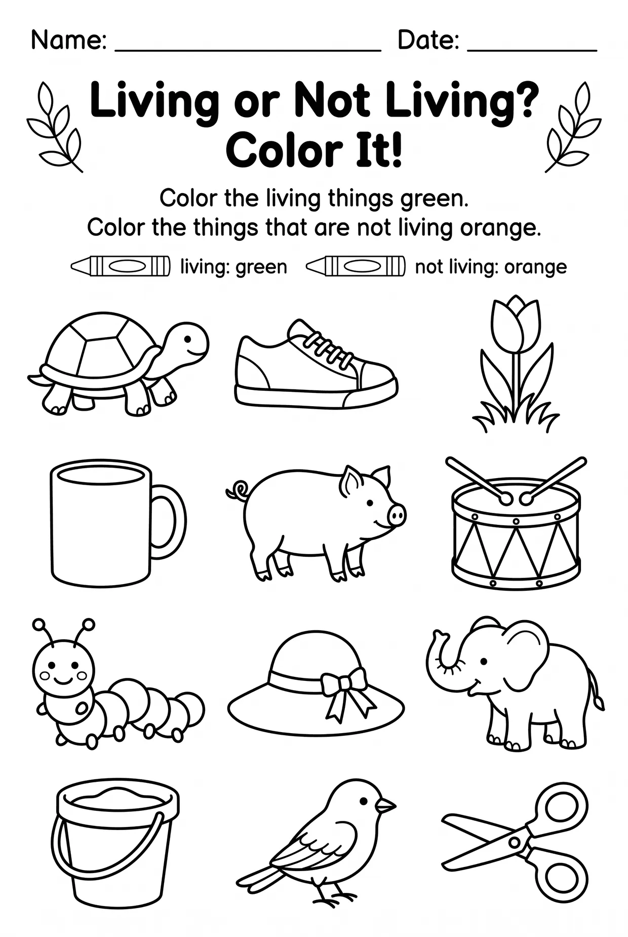 Color It! Living and Non Living Things Worksheet worksheet preview