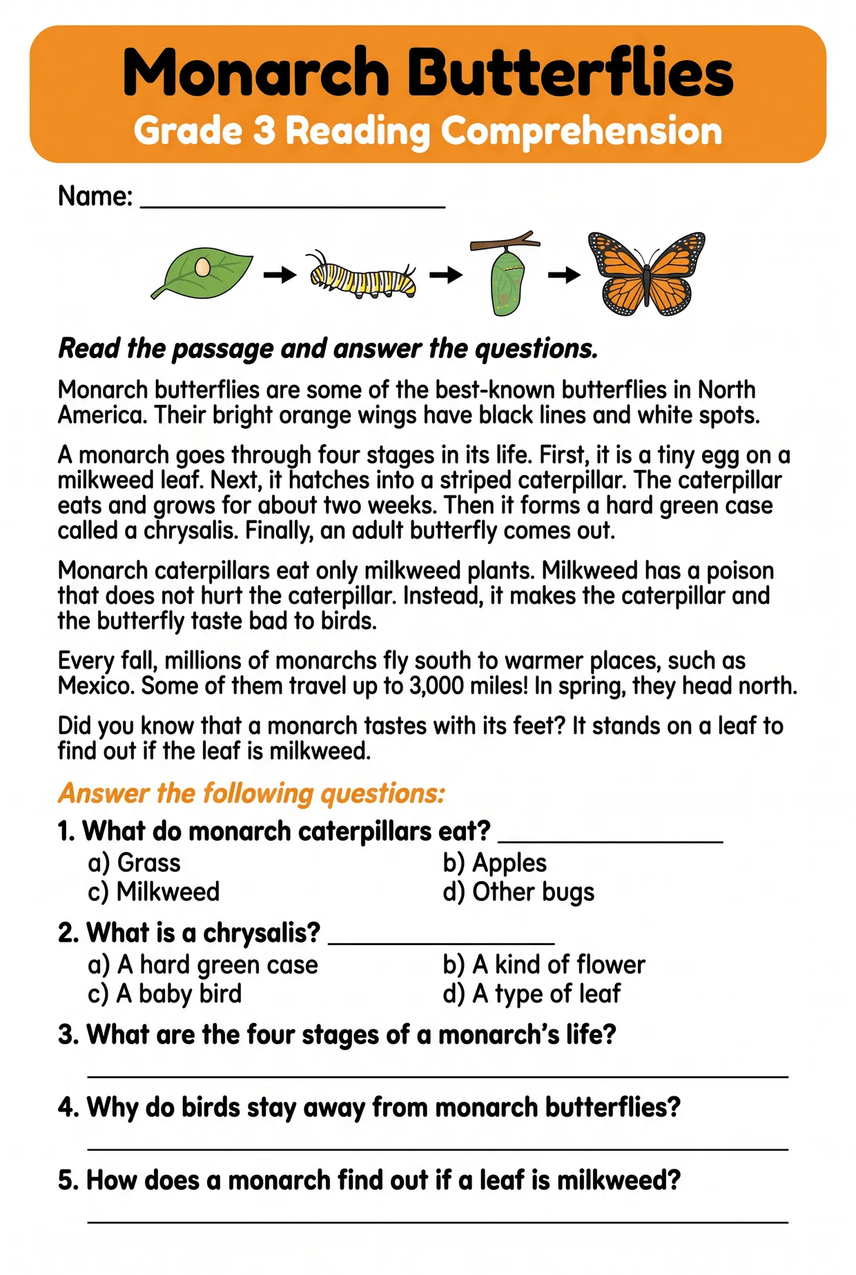 Monarch Butterflies Reading Comprehension for 3rd Grade, page 1 preview