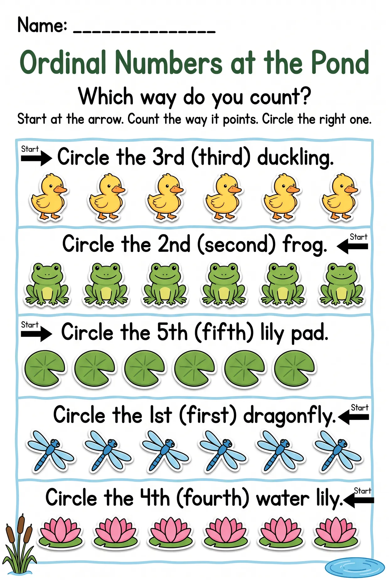 Pond Ordinal Numbers Worksheet: Which Way to Count, page 1 preview