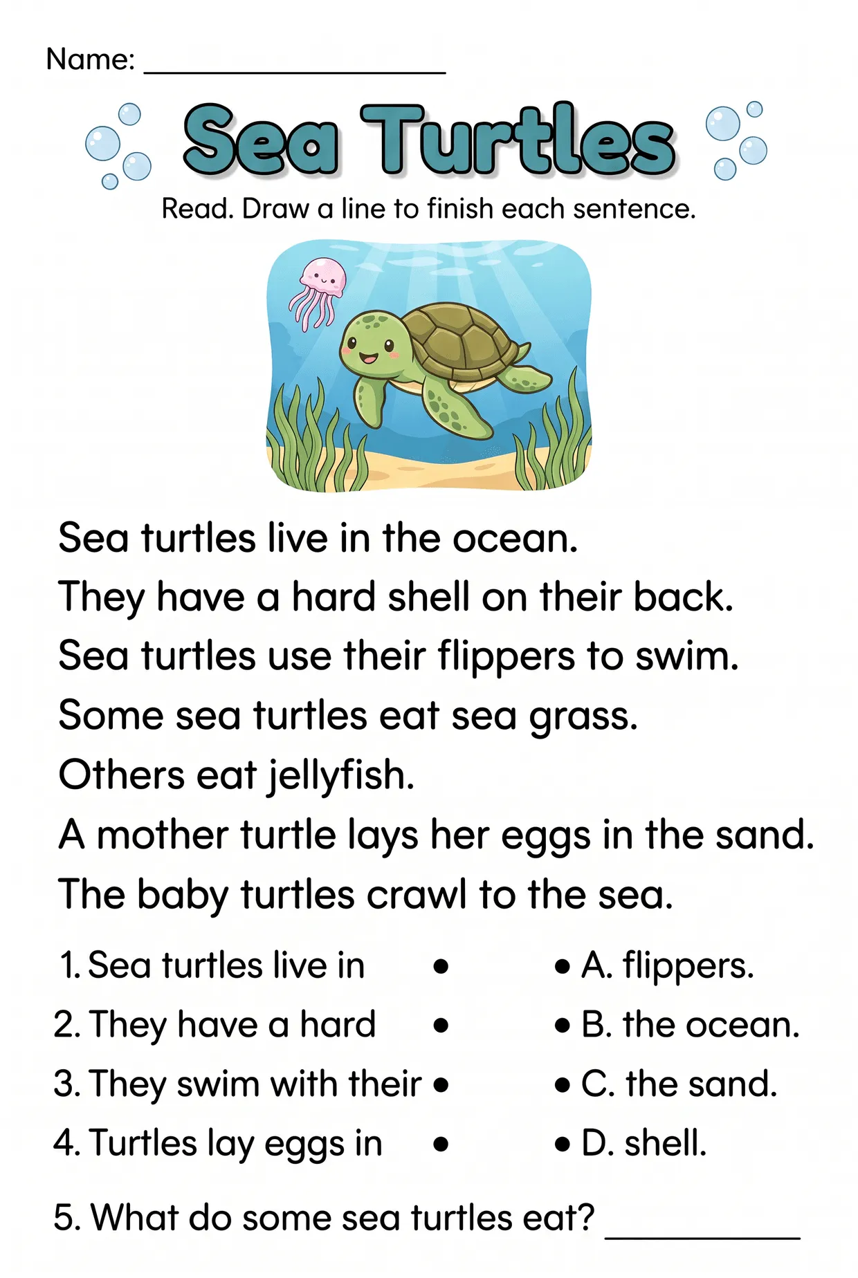 Sea Turtles Nonfiction Reading Comprehension Grade 1, page 1 preview