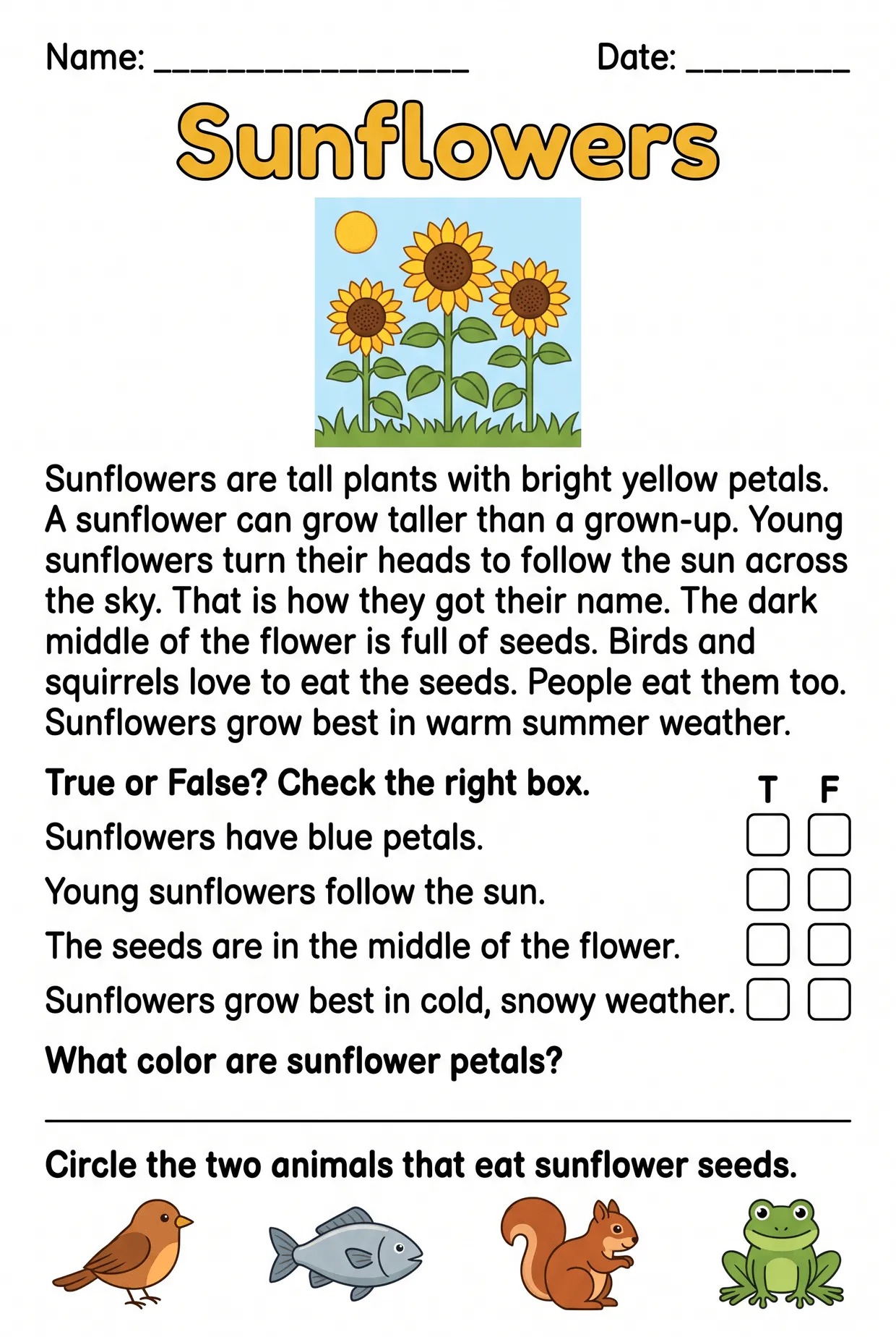 Sunflowers: Grade 2 Nonfiction Reading Worksheet, page 1 preview