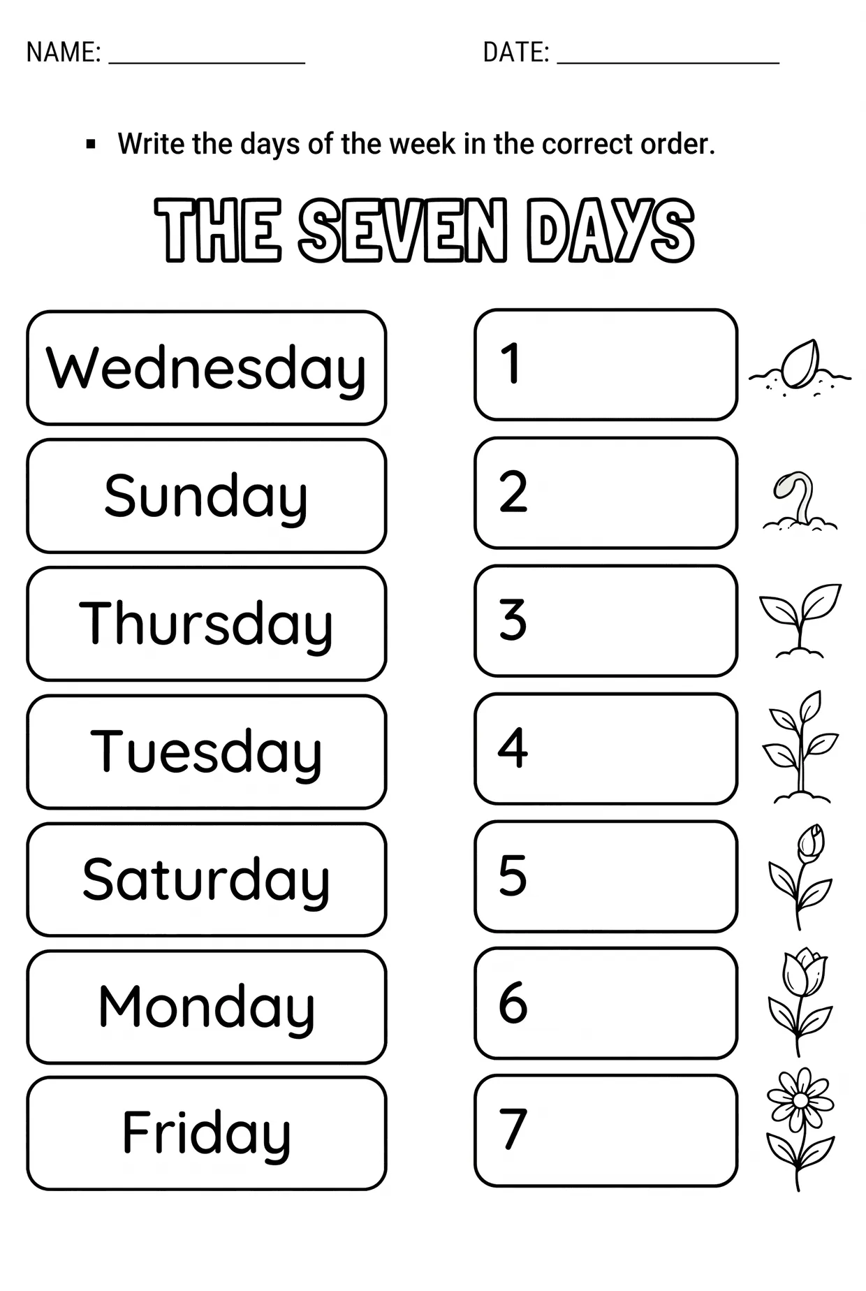 The Seven Days of the Week worksheet preview