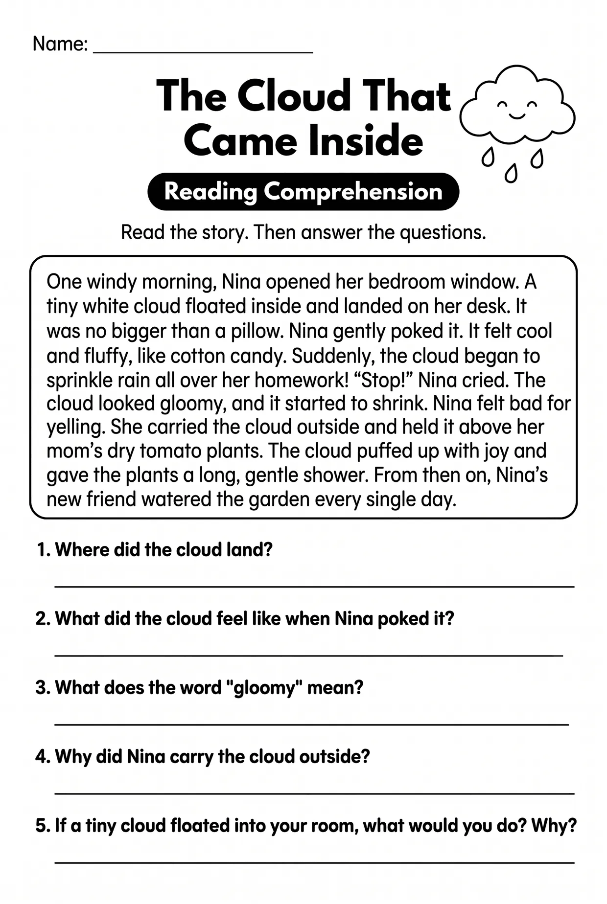 The Cloud That Came Inside Grade 3 Reading Comprehension, page 1 preview