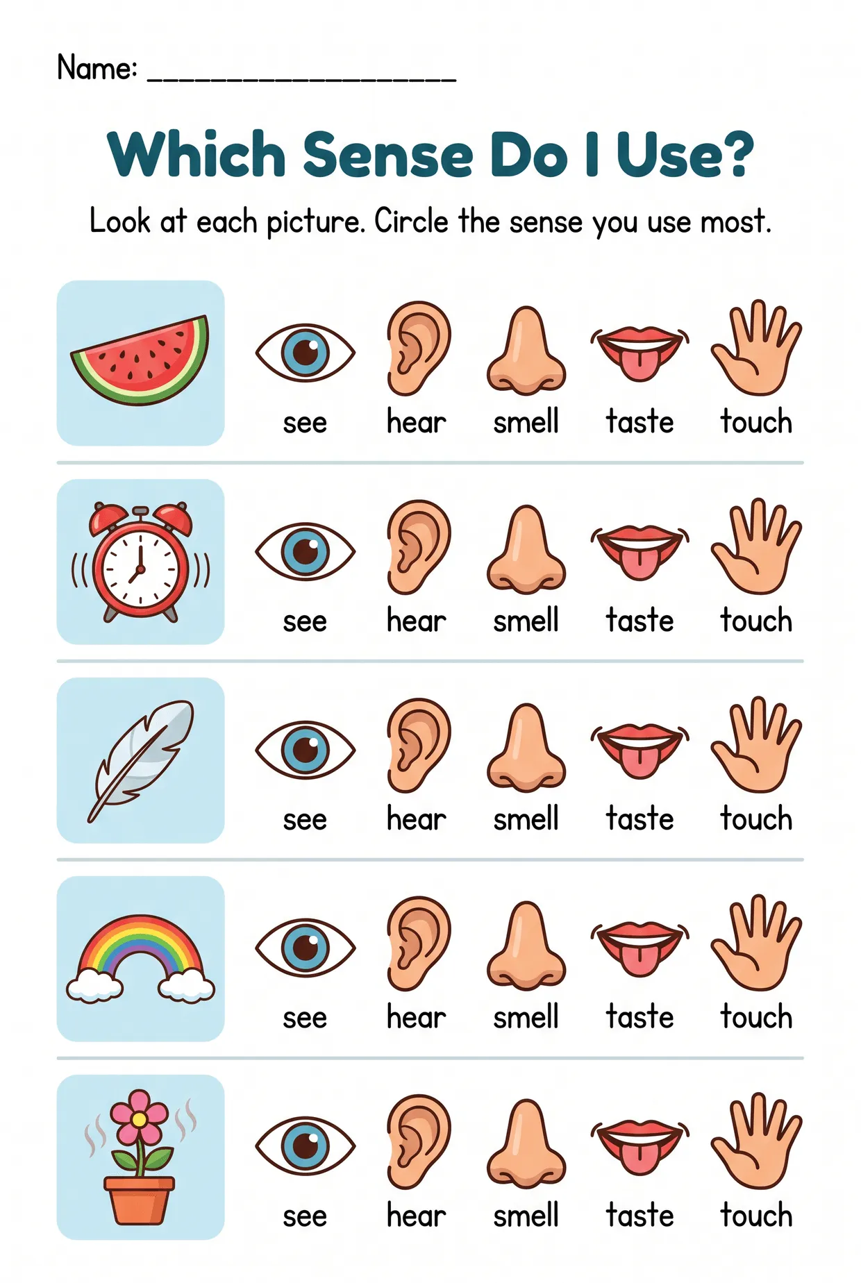 Which Sense Do I Use? Kindergarten Five Senses Worksheet worksheet preview